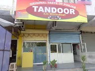 Tandoor Restaurant photo 3