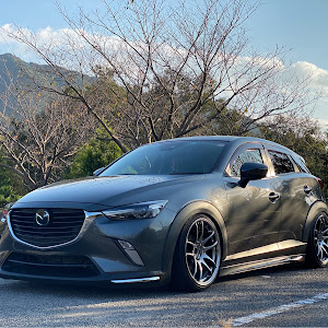 CX-3 DK5FW