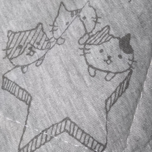  のプロフィール画像