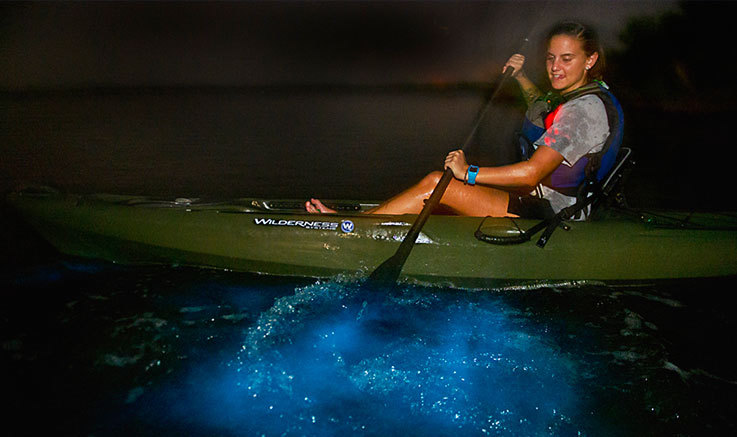 Bioluminescence Kayaking