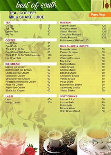 Best Of South Pure Veg menu 