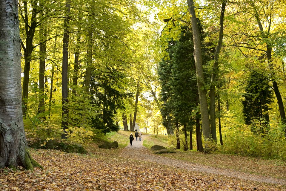 het-culinaire-kassel-in-duitsland