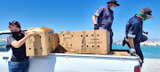 Rescuers load up boxes of Cape Cormorant chicks during a joint operation.