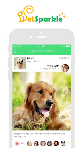 免費下載生活APP|PetSparkle app開箱文|APP開箱王