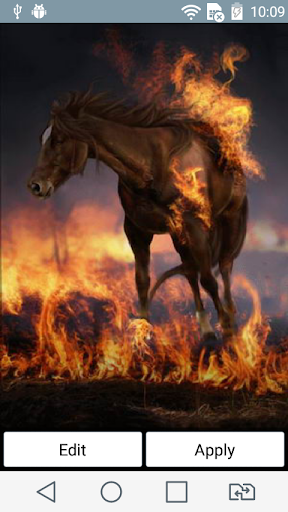 Burning horse live wallpaper