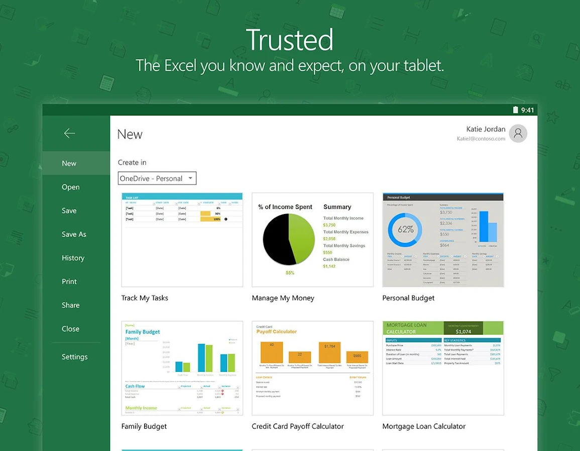    Microsoft Excel- screenshot  