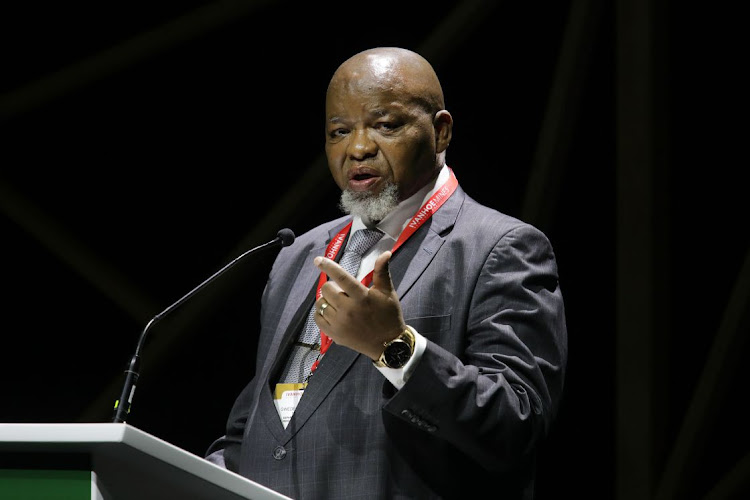 Mineral resources and energy minister Gwede Mantashe. File photo.