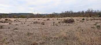 terrain à Ferrals-les-Corbières (11)