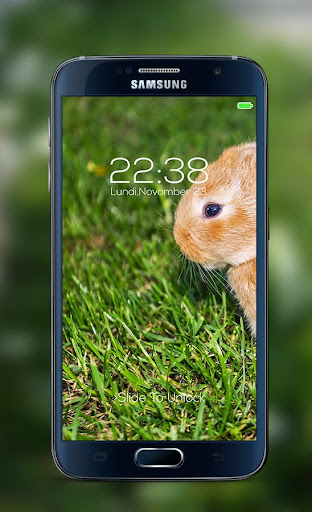 Bunny password Lock Screen