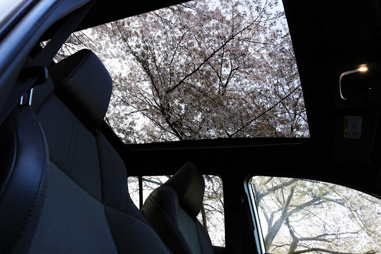 カローラクロスの桜とコラボ🌸・桜と愛車・写真部📸・ちょっと遅すぎた💦・撮りすぎ注意‼️に関するカスタム事例の投稿画像22枚目
