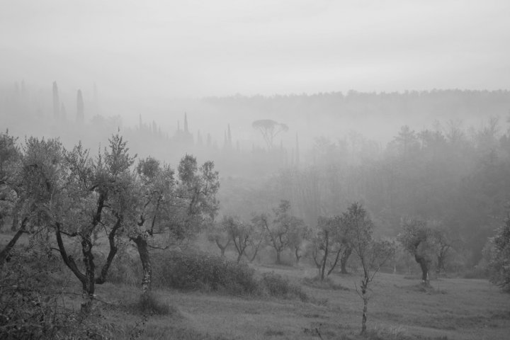 Pennellate di nebbia di sforzial