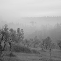 Pennellate di nebbia di 