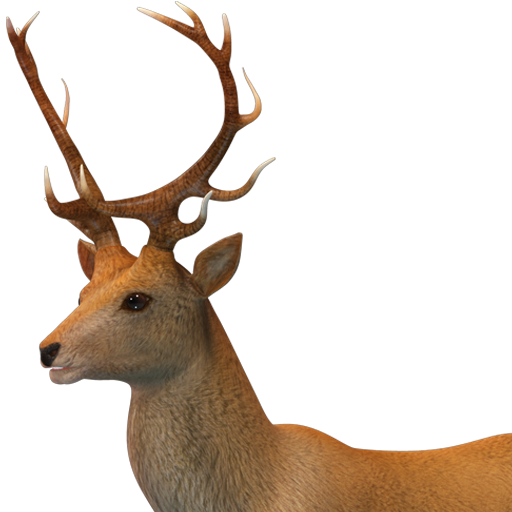 Stag 3D 教育 App LOGO-APP開箱王