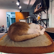 Toast Chat