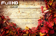 Wood Wallpapers HD Backgrounds small promo image