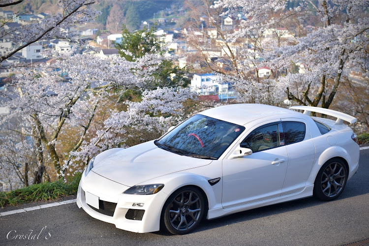 RX-8のCrystal 8・桜スポット探訪・サクラと愛車・人生山あり谷あり・エイトリアン(写真部)に関するカスタム事例の投稿画像1枚目