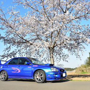 インプレッサ WRX STI GDB