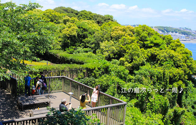 江の島 中津宮広場の展望台