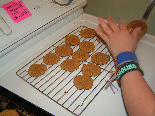 1 2 3 Peanut Butter Cookies