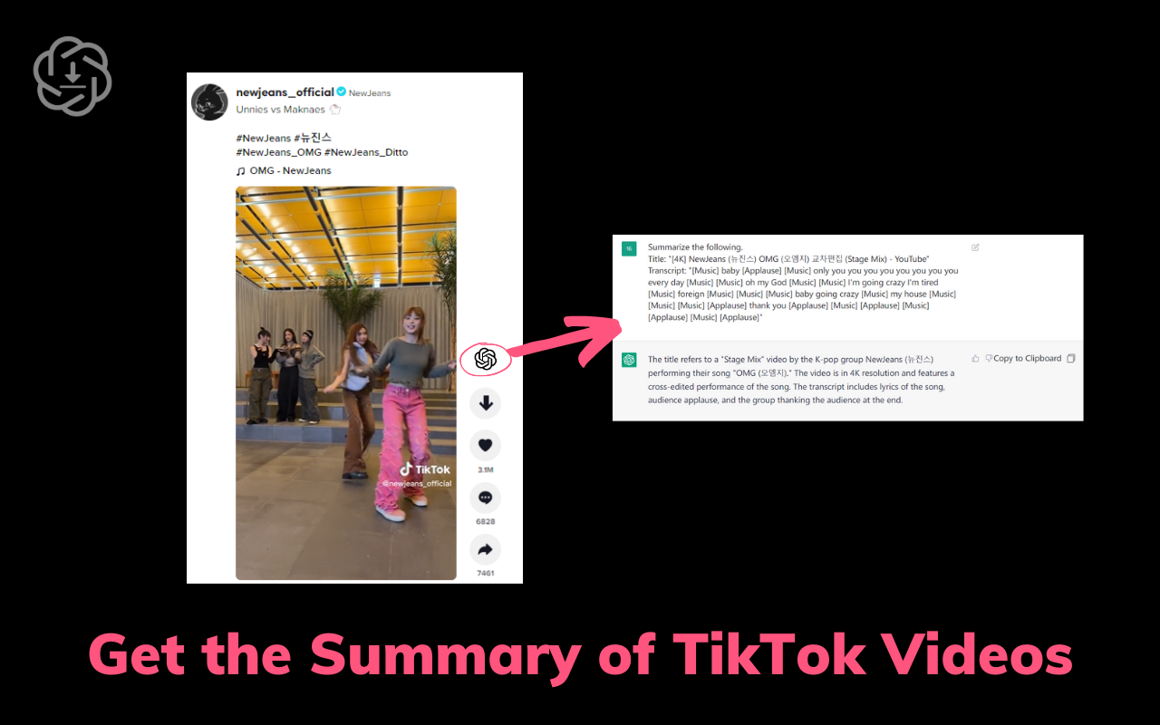 TikTok Downloader and Summary with ChatGPT Preview image 2