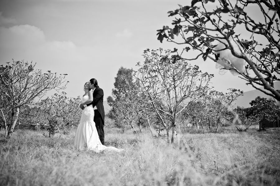 Photographe de mariage Fernando Gomez (fdfotofer). Photo du 27 juin 2014