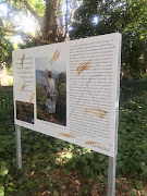 Vandals struck a photographic exhibition, aimed at exploring whiteness, just days after it was erected.