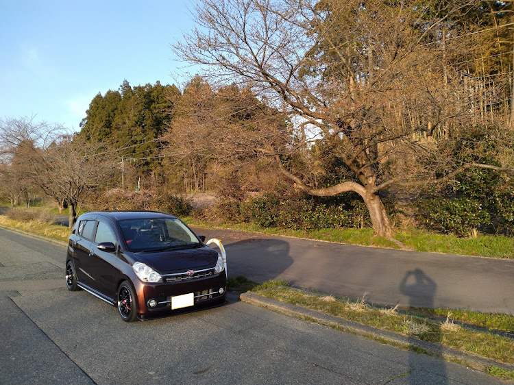 ミラカスタムの4月もよろしくお願い致します🌸・サクラと愛車・桜とコラボに関するカスタム事例の投稿画像2枚目