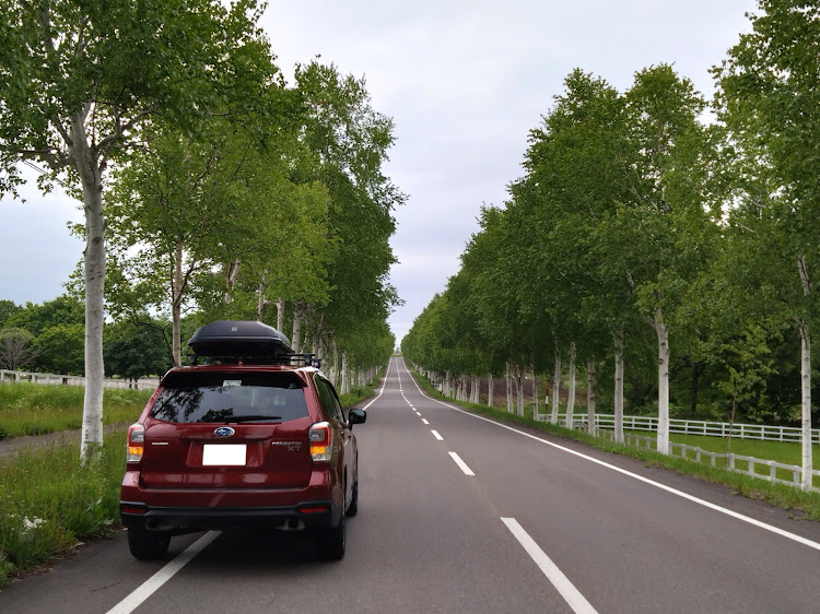 フォレスターの新緑と愛車・ドライブ・遠出ドライブ・ピザ・洞爺湖に関するカスタム事例の投稿画像2枚目