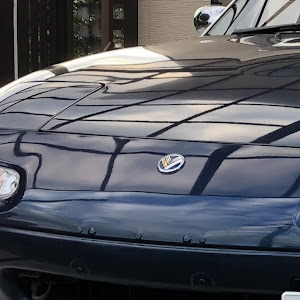 ロードスター NA8C