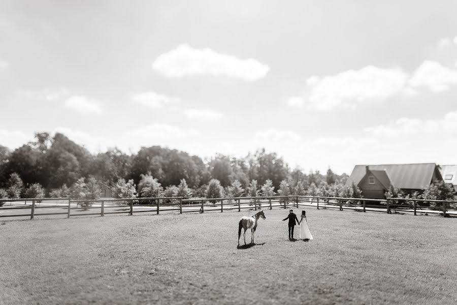 Весільний фотограф Алексей Малышев (malexei). Фотографія від 27 січня 2017