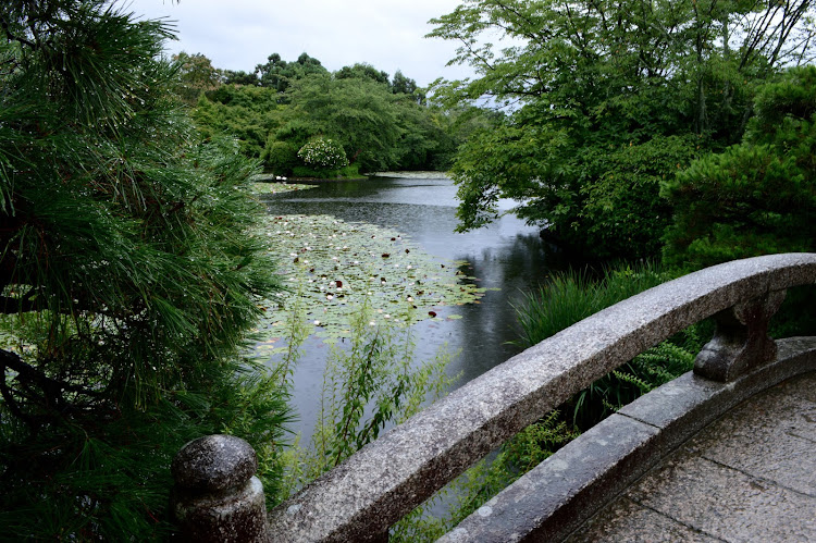 Lovely Kyoto Gardens, Japan.