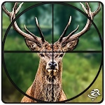 Cover Image of Descargar Jungle Animals Hunter 2018 2.2 APK