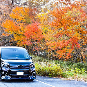 ヴォクシー ZRR80W