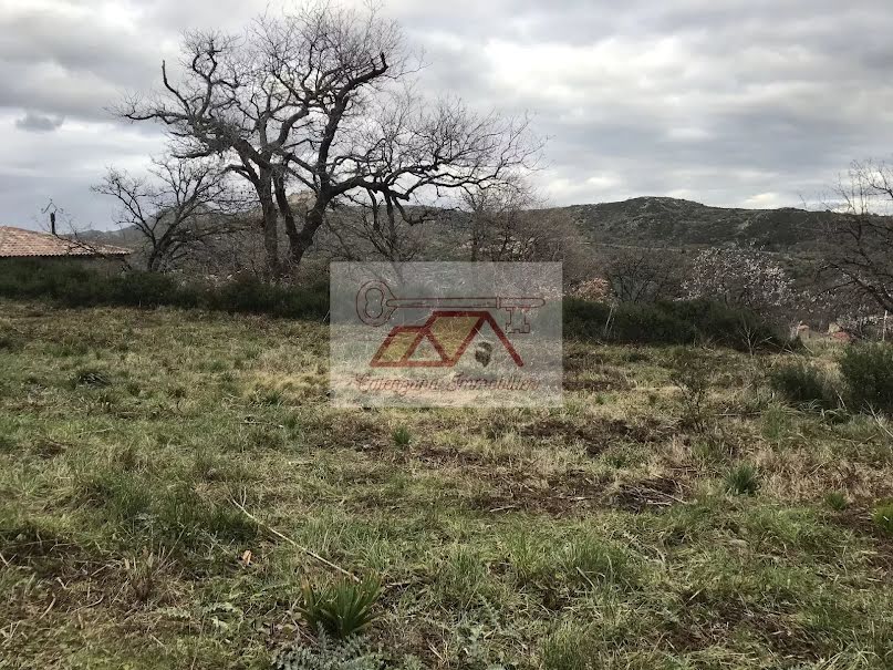 Vente terrain à batir  4700 m² à Cateri (20225), 630 000 €