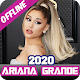 Download Ariana Grande Offline Music (All Songs) 2020 For PC Windows and Mac 1