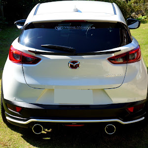 CX-3 DKEFW