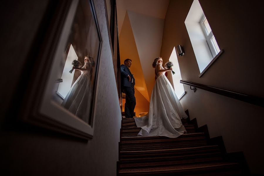 Fotografo di matrimoni Tatyana Toschevikova (tenmadi). Foto del 3 giugno 2019