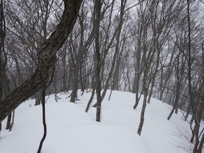 雪が降り出す