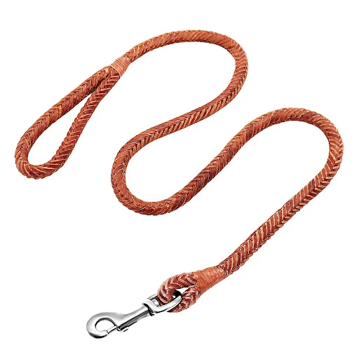 4ft Genuine Leather Dog Leash Soft Real Leather Pet Leash Rolled Braided Dogs Pet Lead for Puppy Small Dogs Walking Bro
