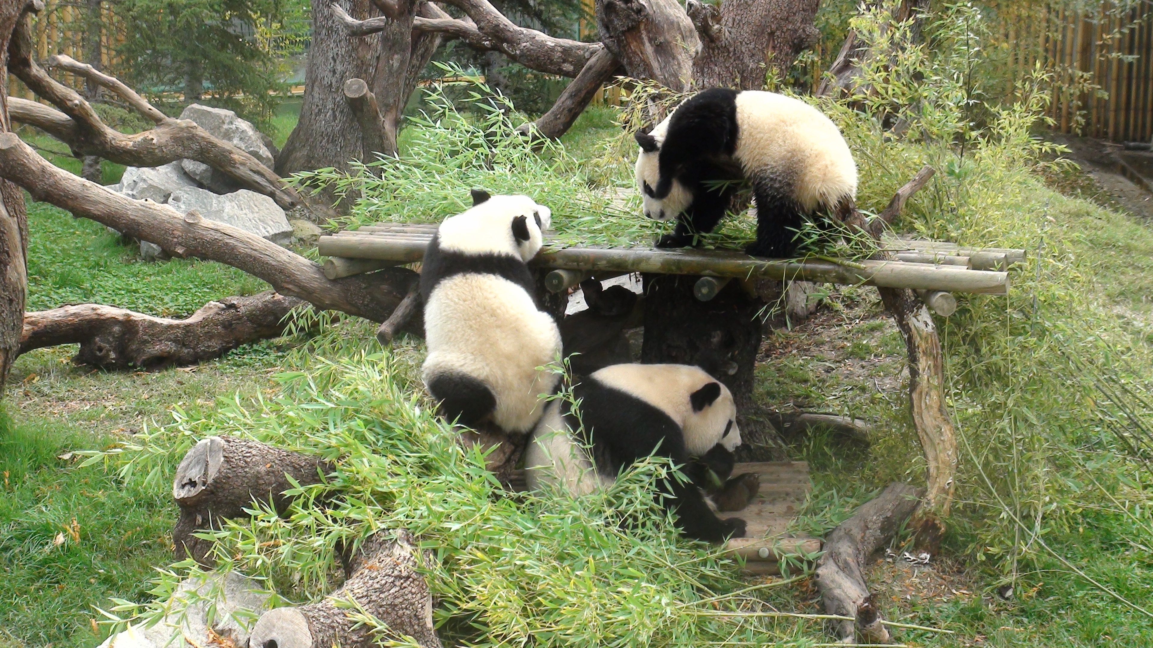 Zoo Aquarium de Madrid