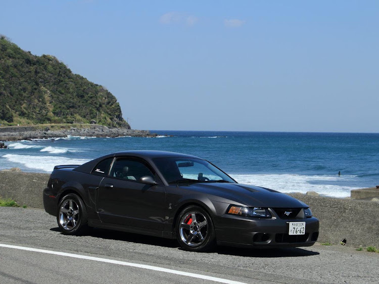マスタングSVTコブラのSVT cobra・マスタング・伊豆・海沿いドライブに関するカスタム事例の投稿画像1枚目