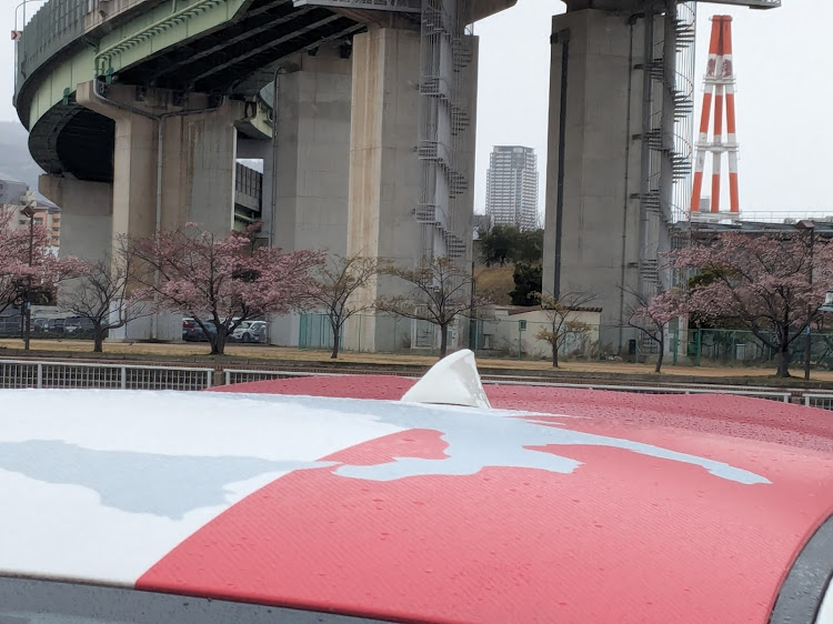 500のコンテナコラボ・アバルト&チンク・食うちゅーん・出会いに感謝・雨でもに関するカスタム事例の投稿画像8枚目