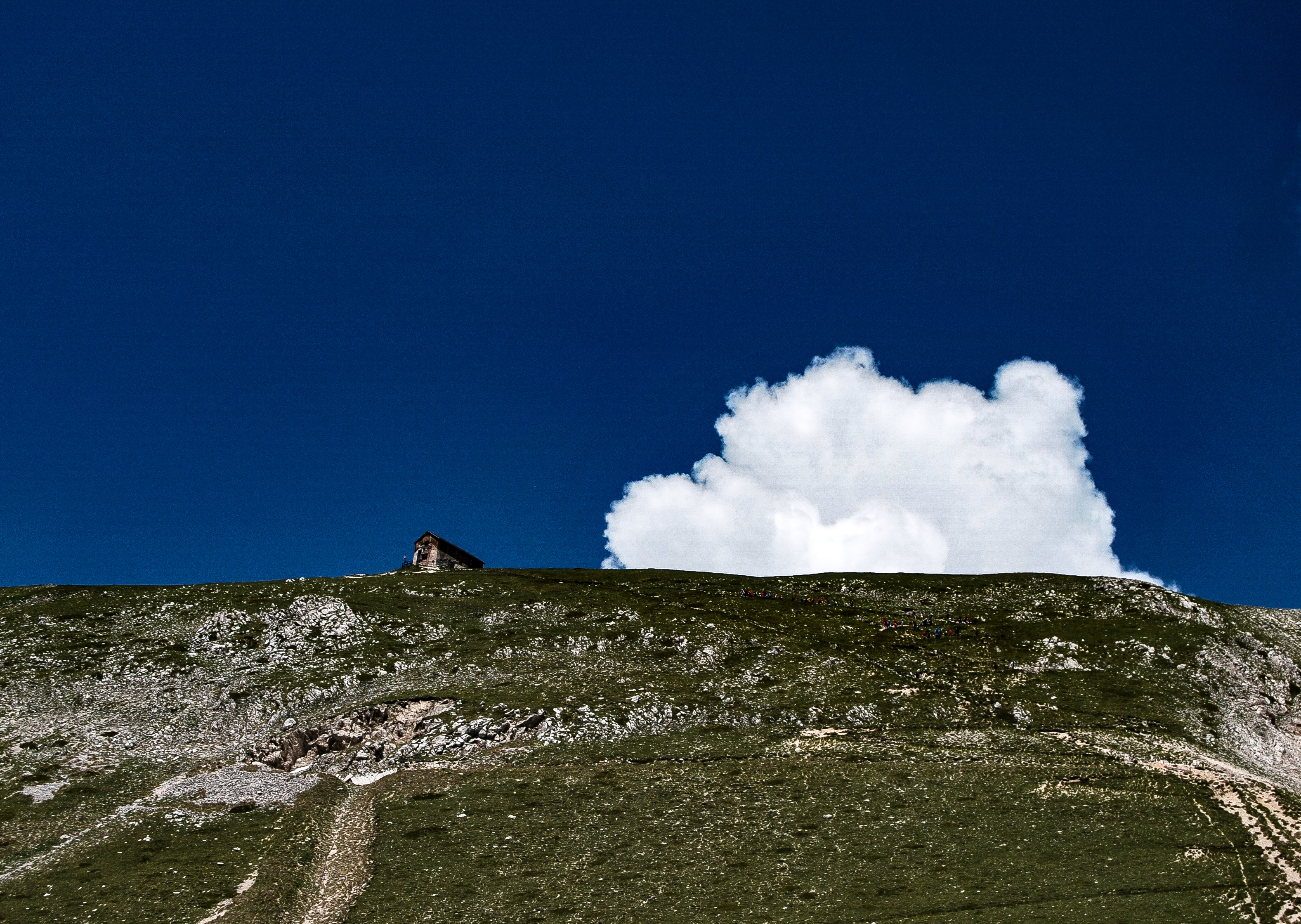 Panna montata sul Gran Sasso di rosy_greggio