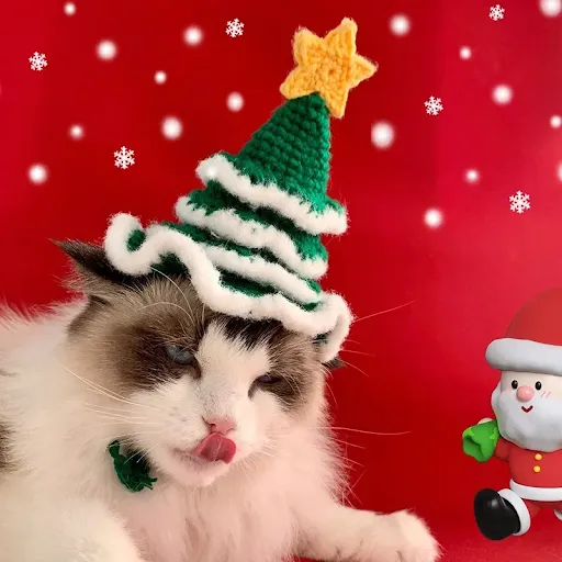 Pet Christmas hat Cat handmade 3D wool Christmas hat Dog headwear Birthday photo Cute jewelry Christmas tree