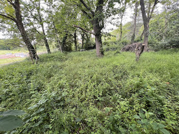 terrain à Breux-Jouy (91)