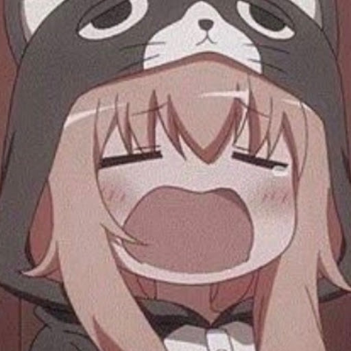 丸猫ฅ(^^ฅ)