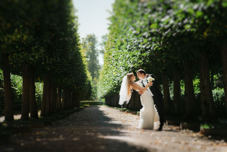 Photographe de mariage Aleksandr Mozheyko (aleksandrnet). Photo du 1 mai 2015