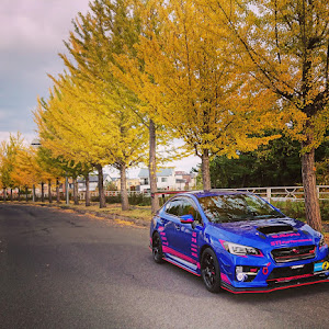 WRX STI VAB