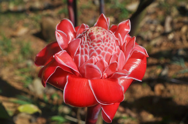 Ecoturismo Costa Caribe Nicaragua