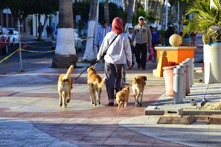 Мексика. И станут направления дорогами.